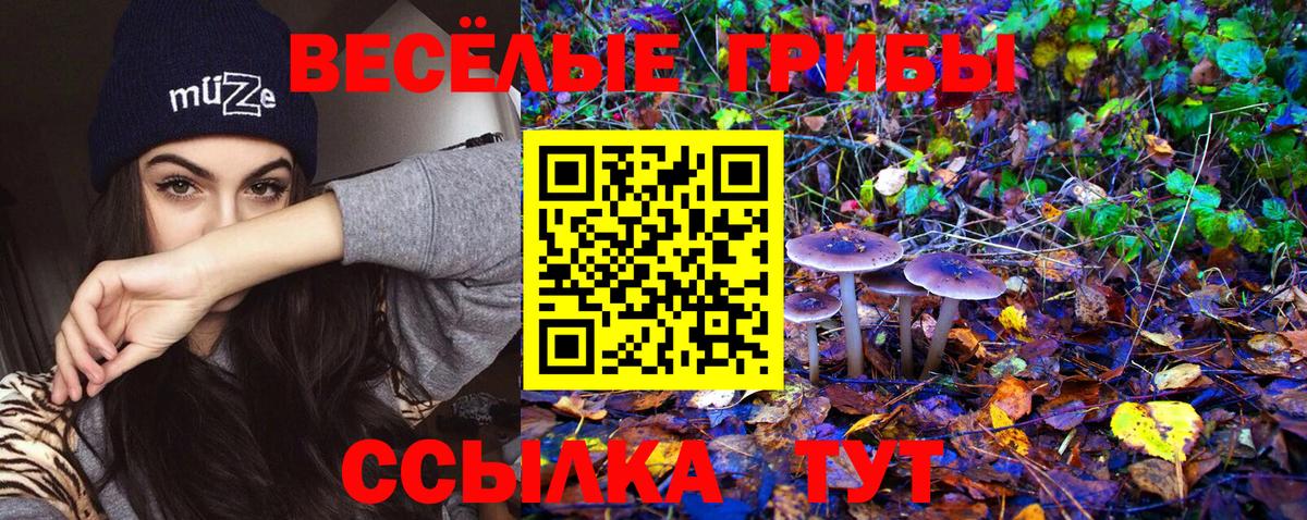 Галлюциногенные грибы MAGIC MUSHROOMS Кызыл